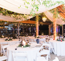 bride and groom entering party